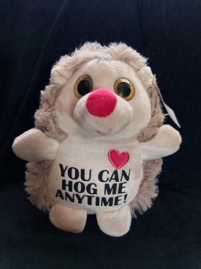 Picture of Personalized Plush Hedgehog